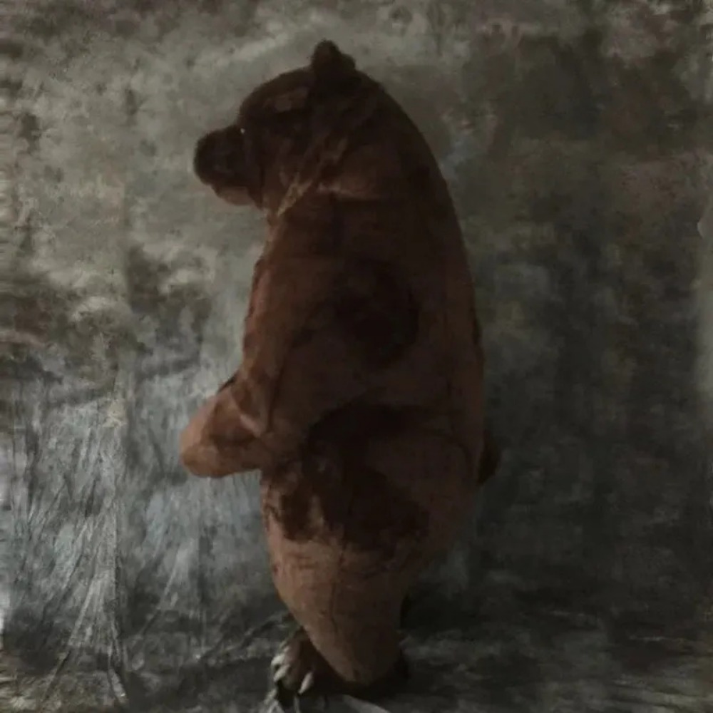 Inflatable Brown Bear Mascot C - đánh giá và giá Chargers
